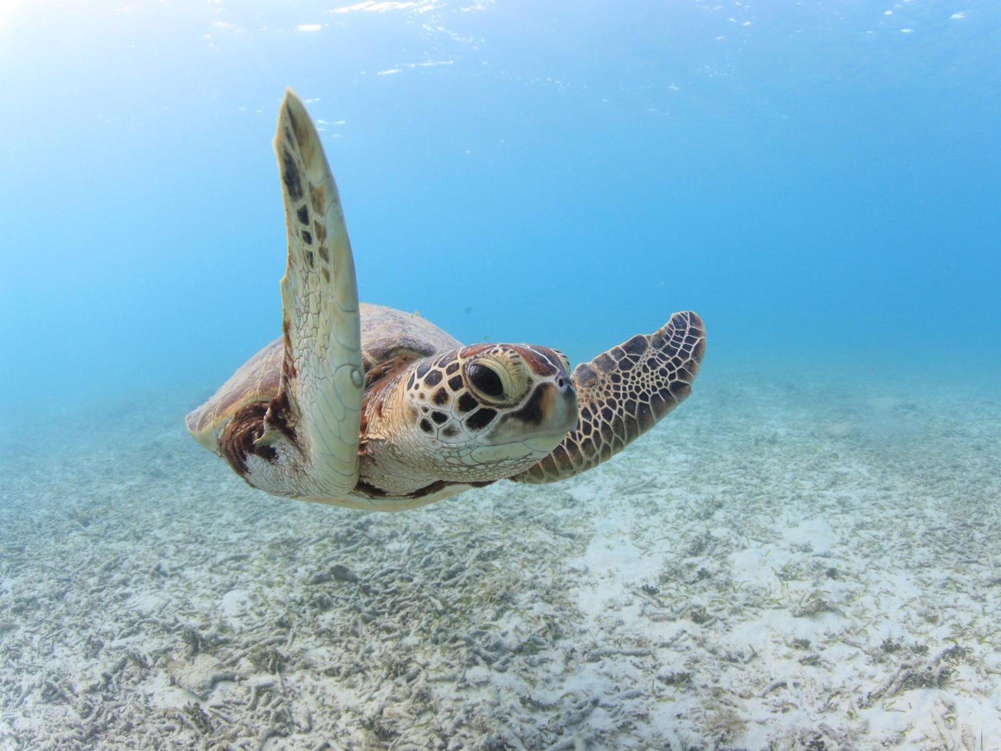 Tokashiku Marine Village โทคาชิกิ ภายนอก รูปภาพ